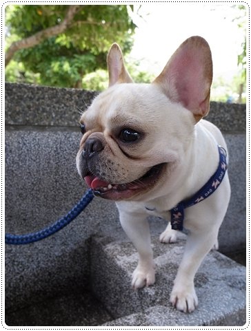 2010.07.10_宜蘭武荖坑_010.JPG