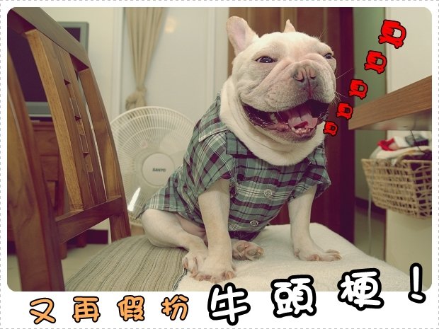 2010-06-02_阿勇過生日穿新衣_006.jpg