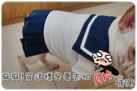 2009.11.21_PET QBEQ 秋冬新裝_005.JPG