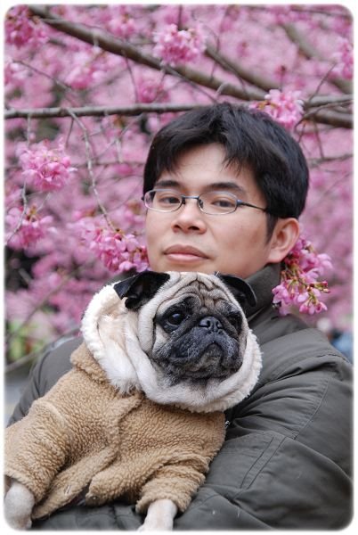 2011.02.19_武陵賞櫻_003