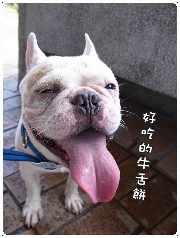 2010.07.10_宜蘭武荖坑_005.JPG