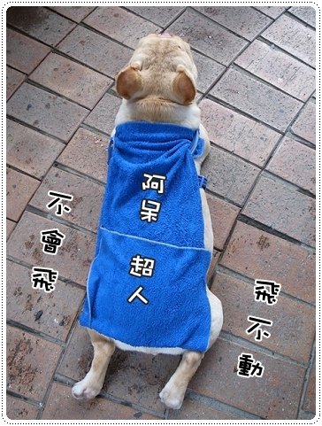 2010.07.10_宜蘭武荖坑_012.JPG