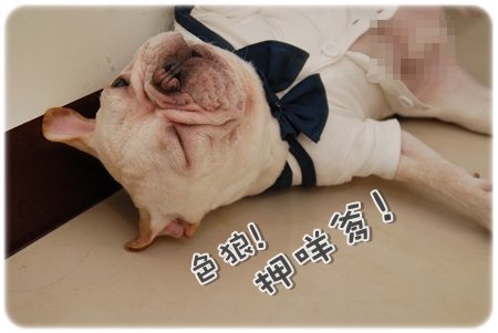 2009.11.21_PET QBEQ 秋冬新裝_009.JPG