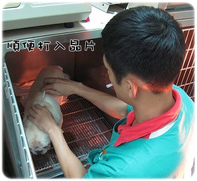 2009.08.06_阿勇的蛋蛋不見了_005.JPG