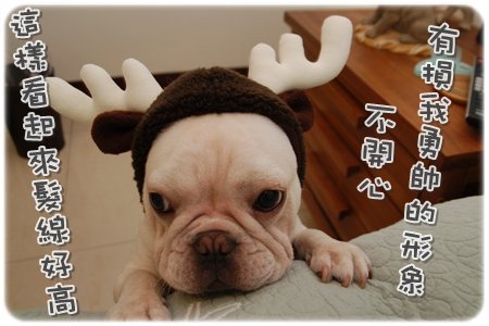 2009.11.21_PET QBEQ 秋冬新裝_011.JPG