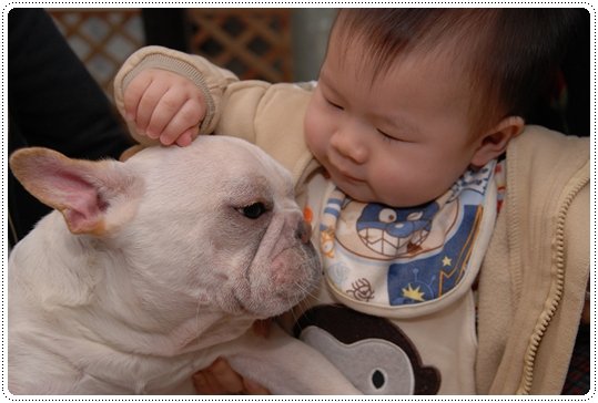 2010.02.07_小竹輪一歲生日趴_005.jpg