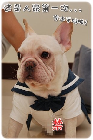 2009.11.21_PET QBEQ 秋冬新裝_007.JPG