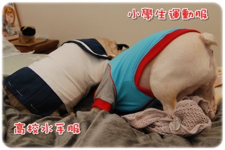 2009.11.21_PET QBEQ 秋冬新裝_017.JPG