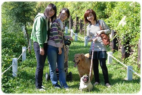 2008.11.30_綠光森林_009.jpg