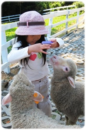 2008.11.30_綠光森林_005.jpg