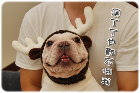 2009.11.21_PET QBEQ 秋冬新裝_012.JPG
