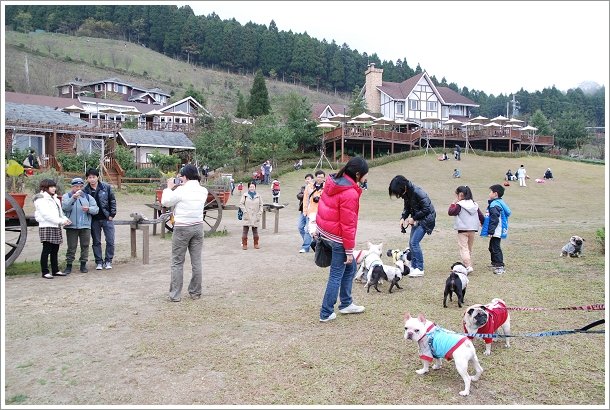 2010-01-01_山上人家_017.jpg