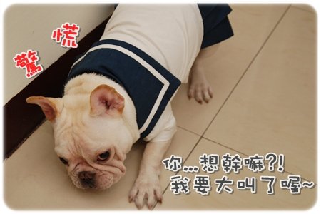 2009.11.21_PET QBEQ 秋冬新裝_008.JPG