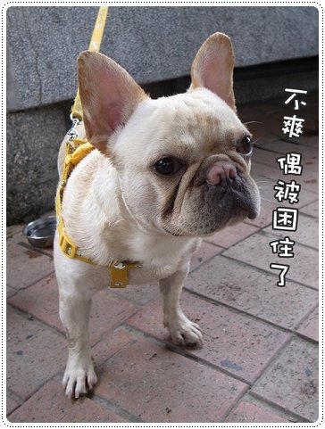 2010.07.10_宜蘭武荖坑_008.JPG