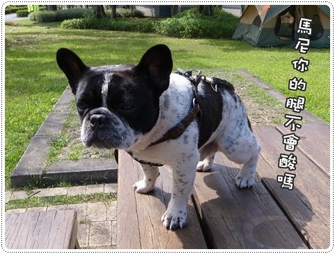 2010.07.10_宜蘭武荖坑_021.JPG