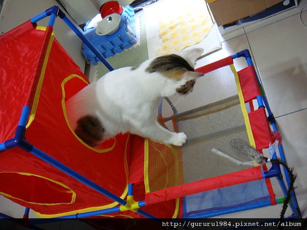 DSC05645.JPG