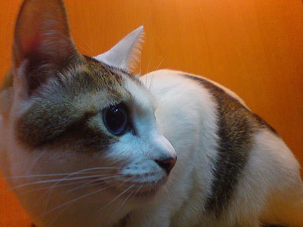 DSC05438.JPG