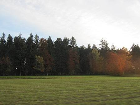 IMG_3040 (800x600)