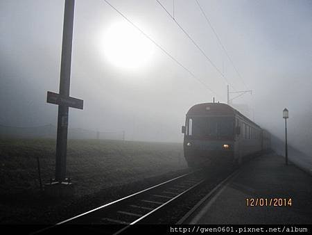 IMG_4212 (800x600).jpg