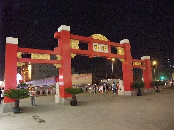 沈阳2010_0810(010).JPG