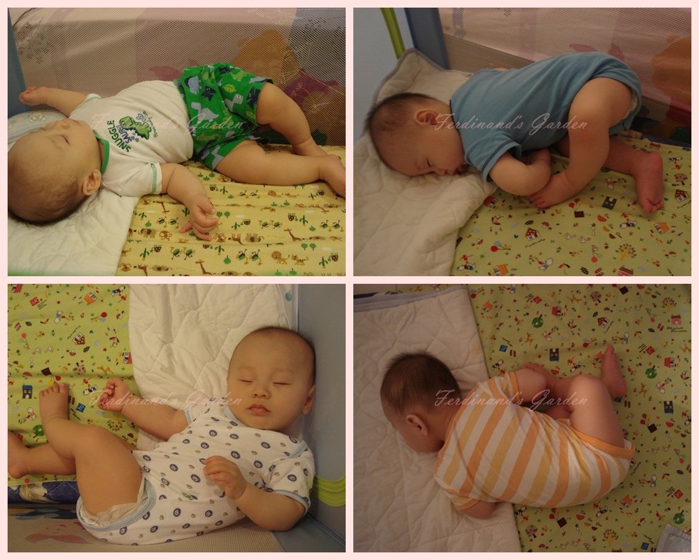 bed1.jpg