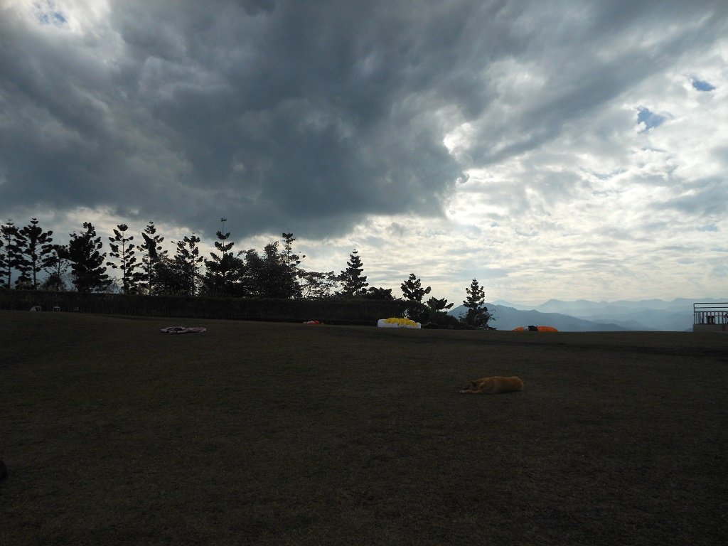 DSC_0612.JPG