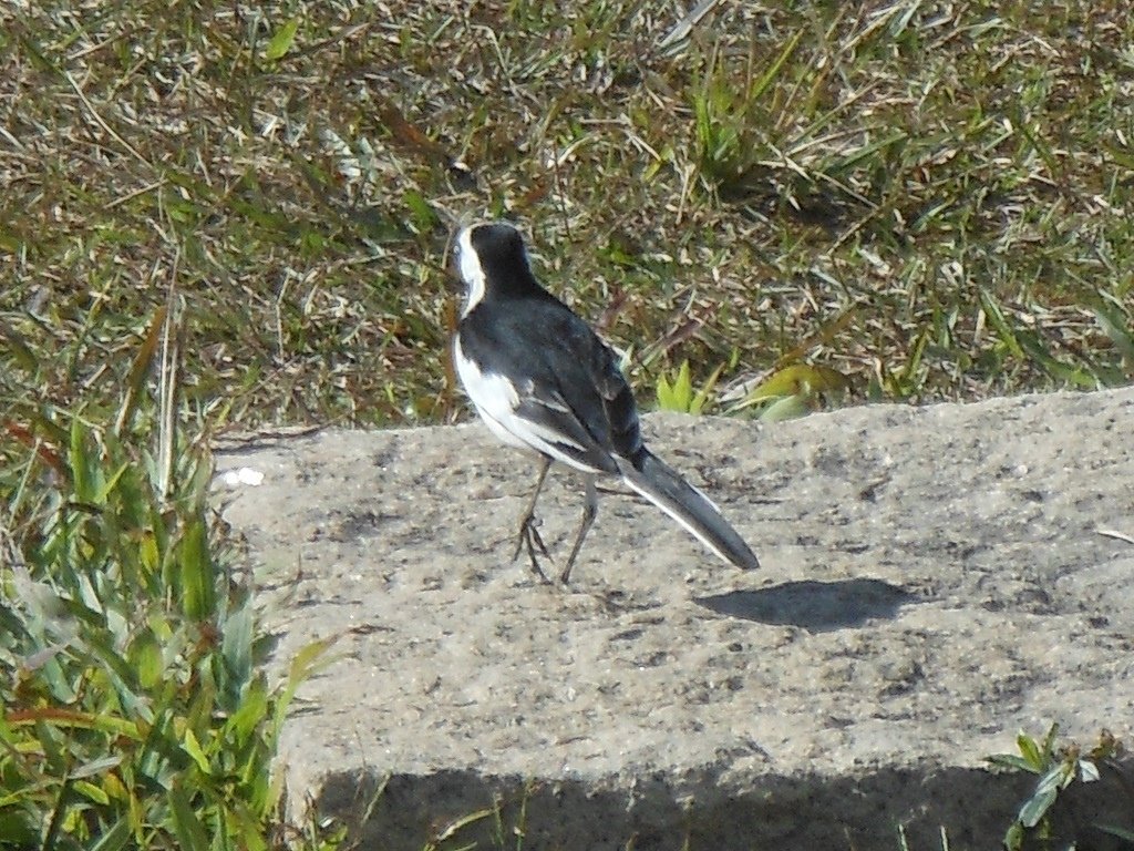 DSCN1741.JPG