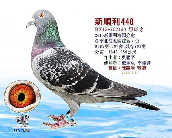 2015新順利冬北海五關4(吳國平)