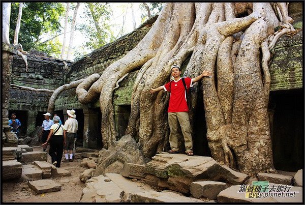 【塔普倫寺Ta Prohm 】柚子當比例尺.jpg