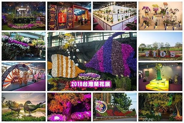 201835台灣蘭花展21p.jpg