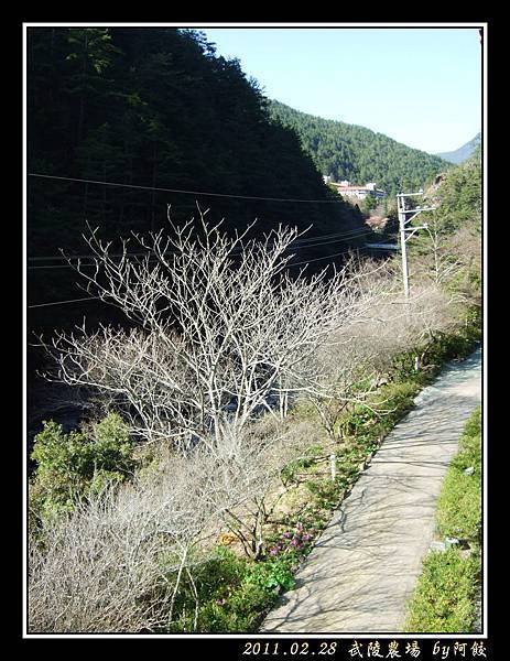 28陽台的景色.jpg