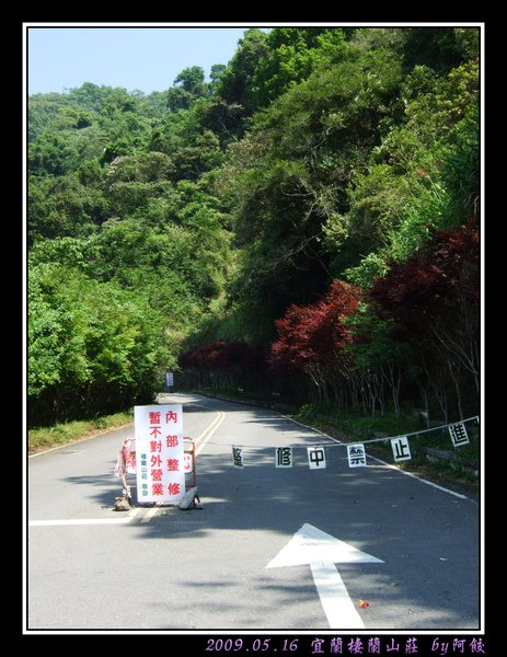 7棲蘭山莊入口的楓樹.jpg