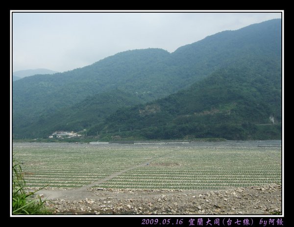 24照樣綠油油的河岸.jpg