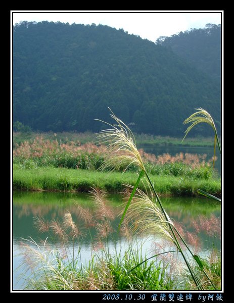 8也有白色的.jpg