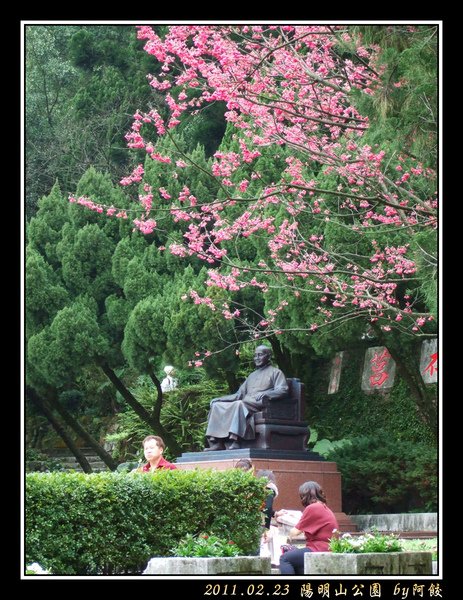 31蔣公與民賞櫻同樂.jpg