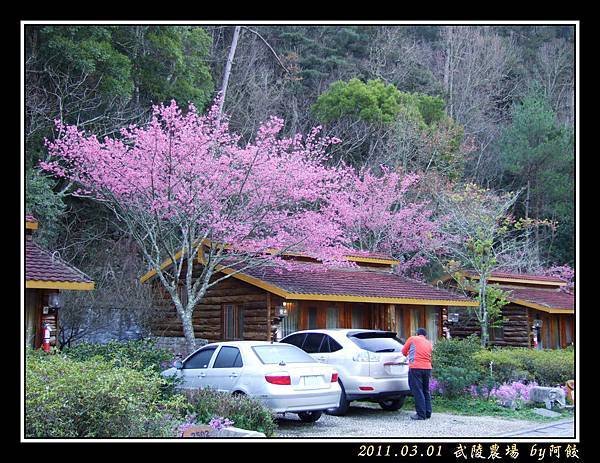 95武陵賓館木屋區(修).jpg