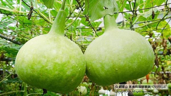 S__1491331.jpg
