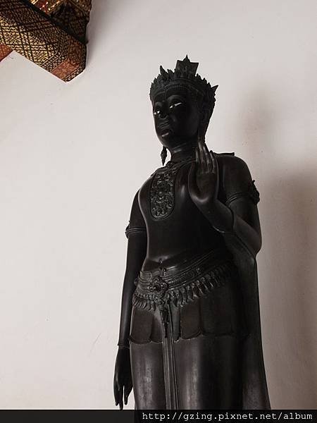 P8316659