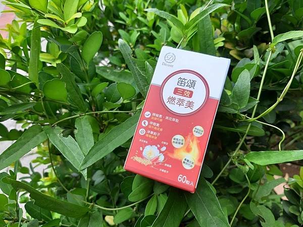 燃萃鎂_210629_37.jpg