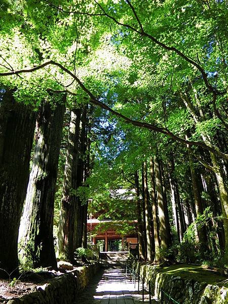 018輾轉來到了古木參天充滿靈氣的光前寺.JPG