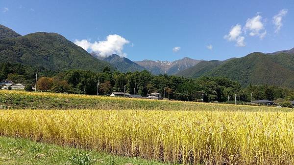 020背著10公斤行囊走過田間小路.jpg