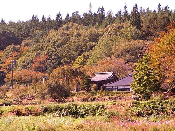 長野　信州遠征12：光前寺　靈犬早太郎　日劇・動漫「ゆるキャ