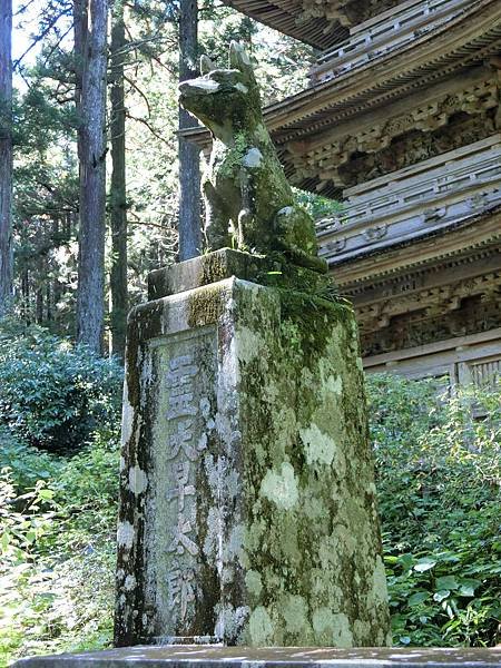 長野　信州遠征12：光前寺　靈犬早太郎　日劇・動漫「ゆるキャ