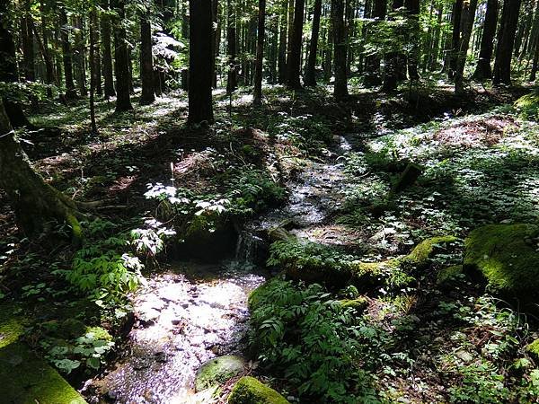 長野　信州遠征12：光前寺　靈犬早太郎　日劇・動漫「ゆるキャ