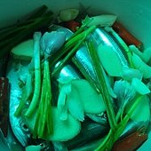 DSC05911.JPG