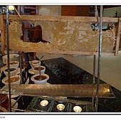 P1070567
