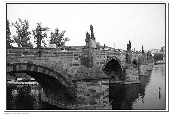 IMG_4539