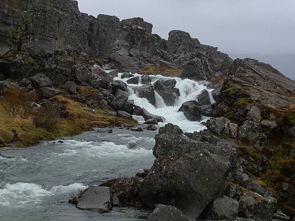 P1120275.JPG