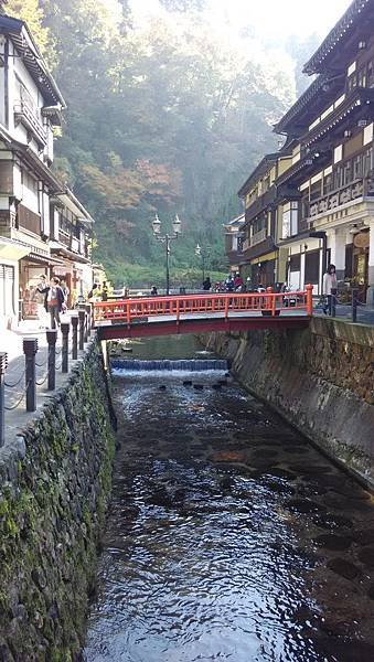 IMG_20151018_100001.jpg