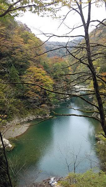 IMG_20151020_103621.jpg